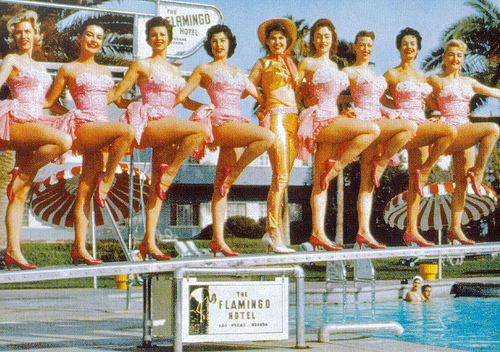 Vintage Vegas Showgirls